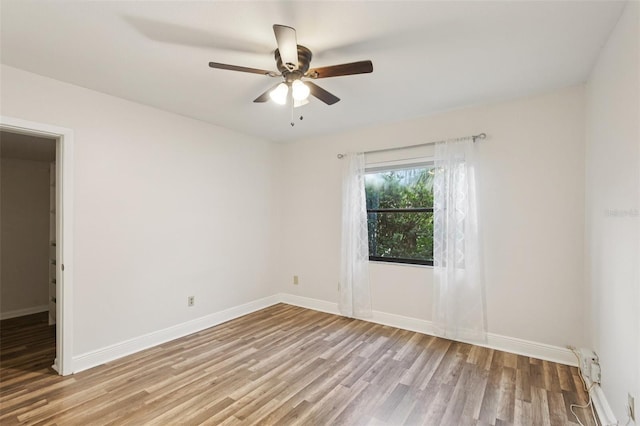 210 Eric Ct, Oldsmar, FL 34677 - photo 33