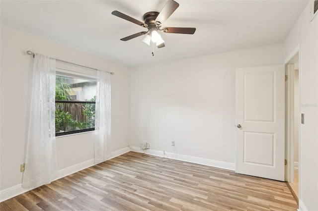 210 Eric Ct, Oldsmar, FL 34677 - photo 34