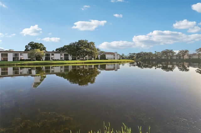 210 Eric Ct, Oldsmar, FL 34677 - photo 48