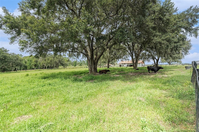 30841 Deer Run, Dade City, FL 33523 - photo 82
