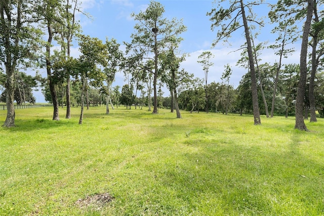 30841 Deer Run, Dade City, FL 33523 - photo 94