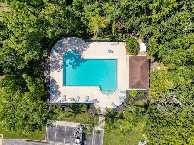 1292 Clays Trl, Oldsmar, FL 34677 - photo 56