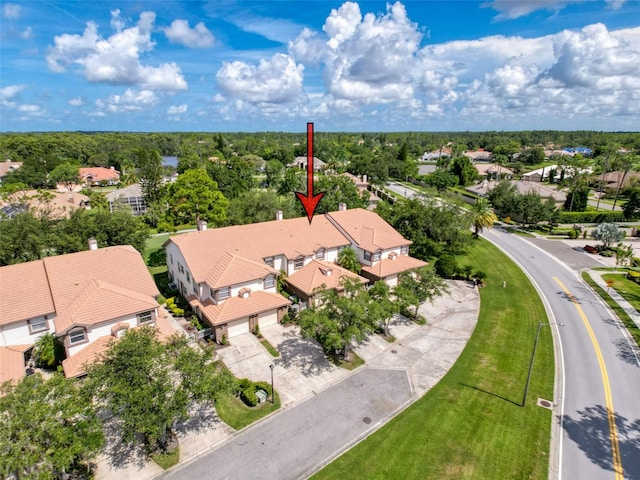 1292 Clays Trl, Oldsmar, FL 34677 - photo 61