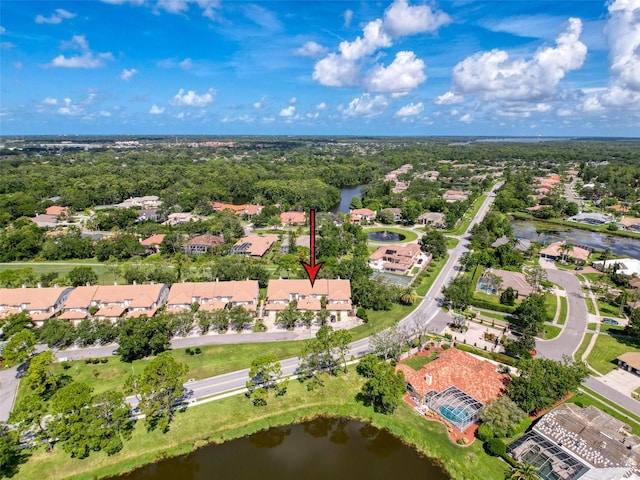 1292 Clays Trl, Oldsmar, FL 34677 - photo 62