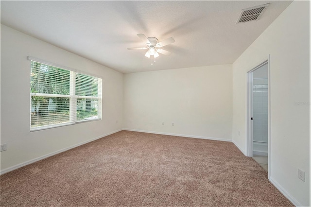 10212 Hawk Storm Ave, Tampa, FL 33610 - photo 15