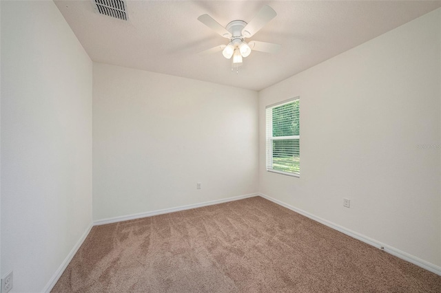 10212 Hawk Storm Ave, Tampa, FL 33610 - photo 19