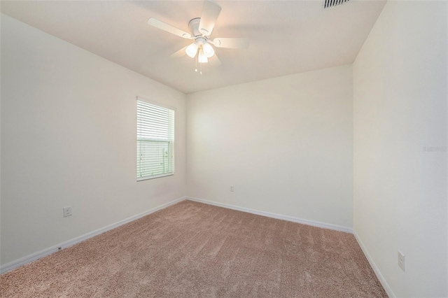 10212 Hawk Storm Ave, Tampa, FL 33610 - photo 20