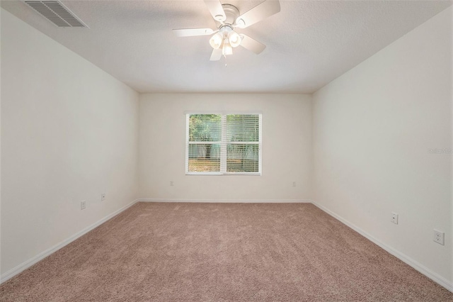 10212 Hawk Storm Ave, Tampa, FL 33610 - photo 23