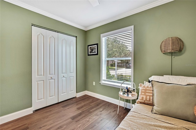 4333 Fieldview Cir, Wesley Chapel, FL 33545 - photo 6