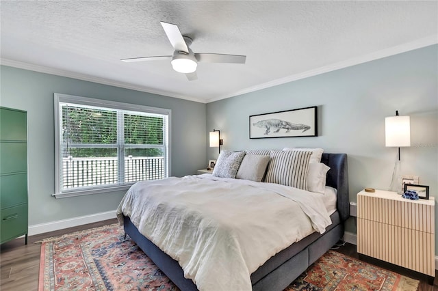 4333 Fieldview Cir, Wesley Chapel, FL 33545 - photo 21