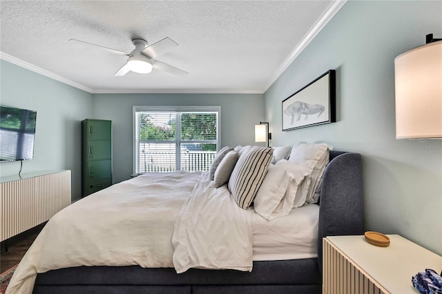 4333 Fieldview Cir, Wesley Chapel, FL 33545 - photo 23