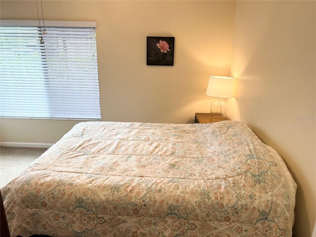 1829 Lake Cypress Dr Unit 1829, Safety Harbor, FL 34695 - photo 22