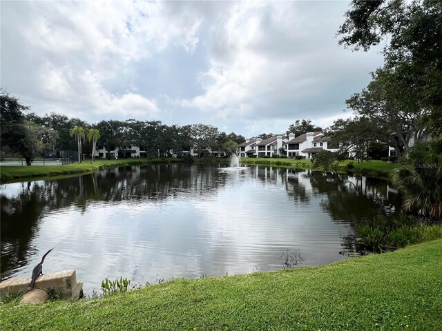 1829 Lake Cypress Dr Unit 1829, Safety Harbor, FL 34695 - photo 34