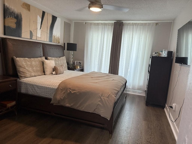 8020 N Gomez Ave, Tampa, FL 33614 - photo 8