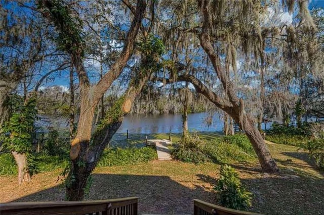 6040 River Trace Rd, Tampa, FL 33617 - photo 2