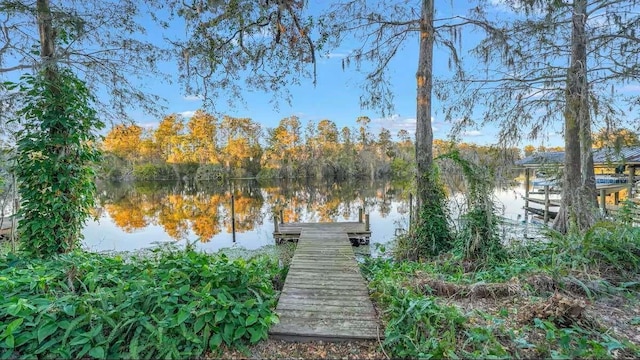 6040 River Trace Rd, Tampa, FL 33617 - photo 21