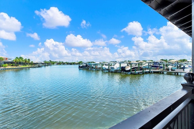 5020 Lake Overlook Ave, Bradenton, FL 34208 - photo 69