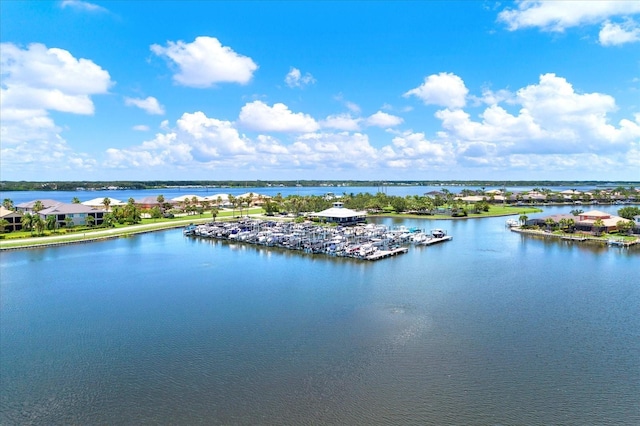 5020 Lake Overlook Ave, Bradenton, FL 34208 - photo 70