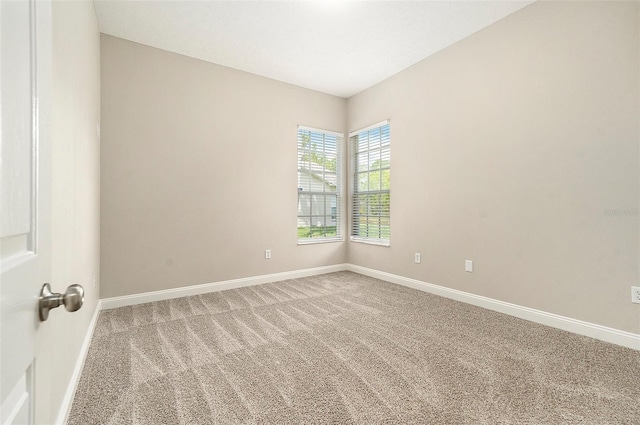 12031 Penzance Ln, New Port Richey, FL 34654 - photo 24