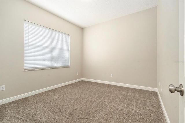 12031 Penzance Ln, New Port Richey, FL 34654 - photo 25