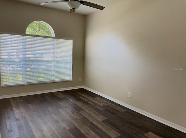 17913 Ayrshire Blvd, Land O Lakes, FL 34638 - photo 9