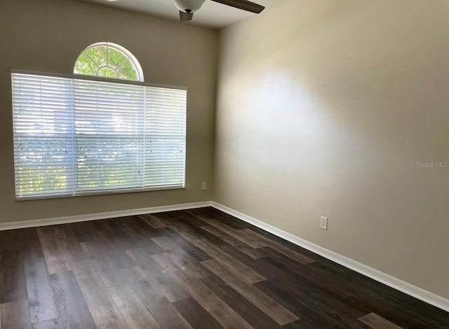 17913 Ayrshire Blvd, Land O Lakes, FL 34638 - photo 11