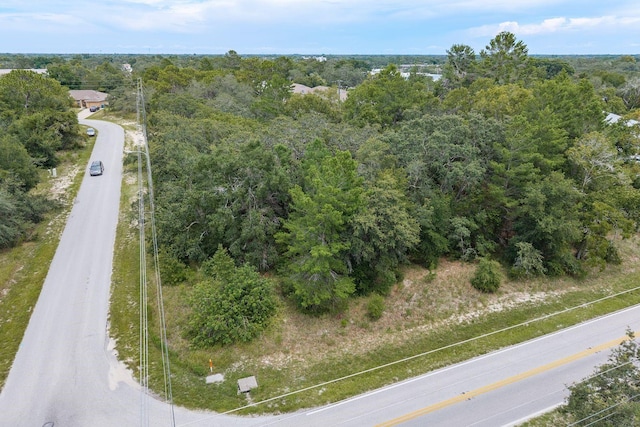 Pinehurst Dr, Spring Hill, FL 34606 - photo 2