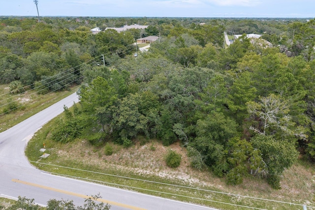Pinehurst Dr, Spring Hill, FL 34606 - photo 3