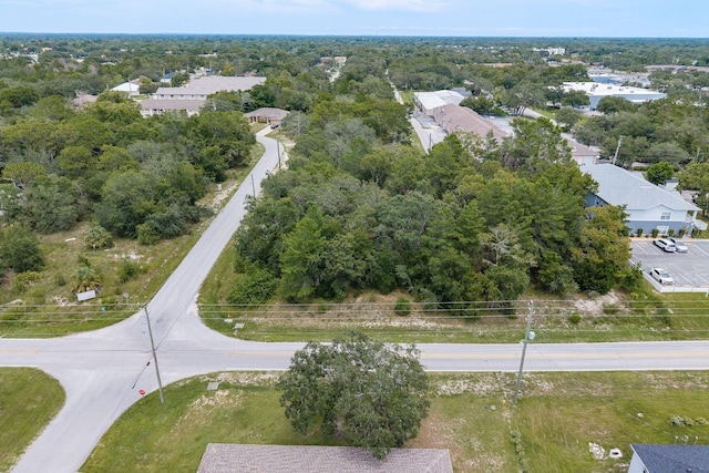 Pinehurst Dr, Spring Hill, FL 34606 - photo 5