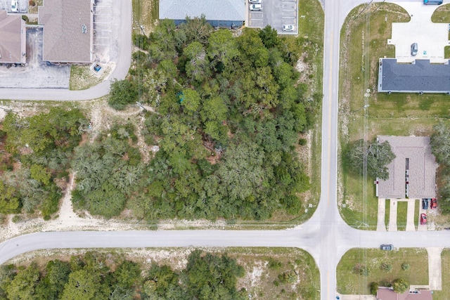 Pinehurst Dr, Spring Hill, FL 34606 - photo 10