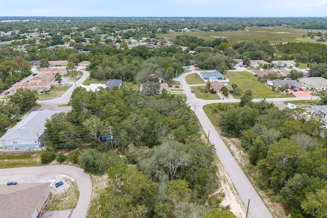 Pinehurst Dr, Spring Hill, FL 34606 - photo 14