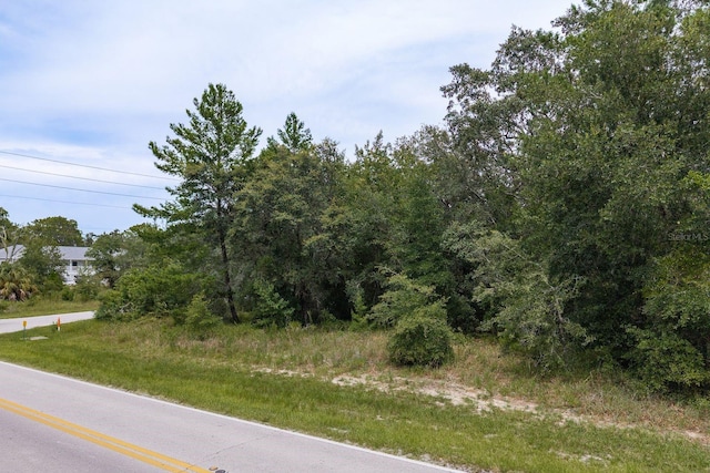 Pinehurst Dr, Spring Hill, FL 34606 - photo 17