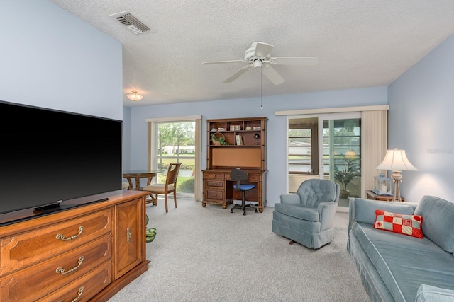 2738 Sherbrooke Ln Unit C, Palm Harbor, FL 34684 - photo 6