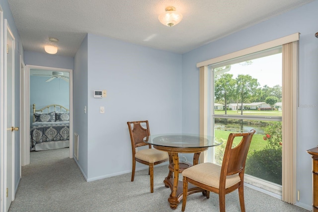 2738 Sherbrooke Ln Unit C, Palm Harbor, FL 34684 - photo 8