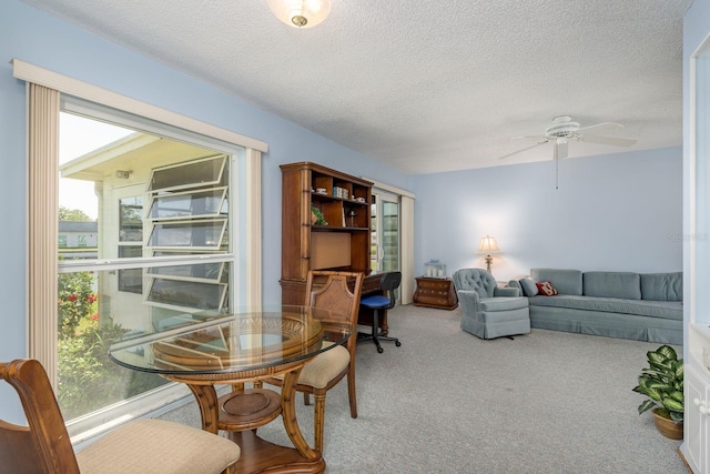 2738 Sherbrooke Ln Unit C, Palm Harbor, FL 34684 - photo 9