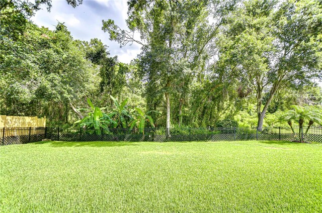 17112 Falconridge Rd, Lithia, FL 33547 - photo 29
