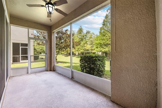 4140 Bismarck Palm Dr, Tampa, FL 33610 - photo 29
