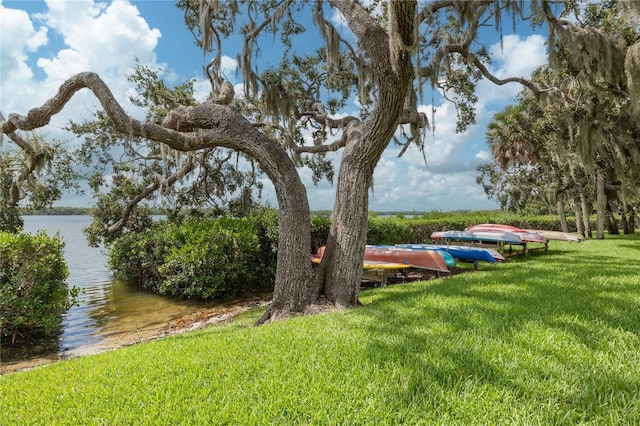 1111 N Bayshore Blvd Unit B11, Clearwater, FL 33759 - photo 17