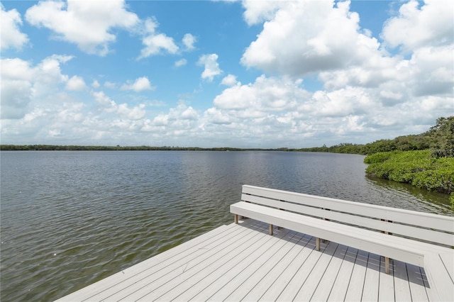 1111 N Bayshore Blvd Unit B11, Clearwater, FL 33759 - photo 33