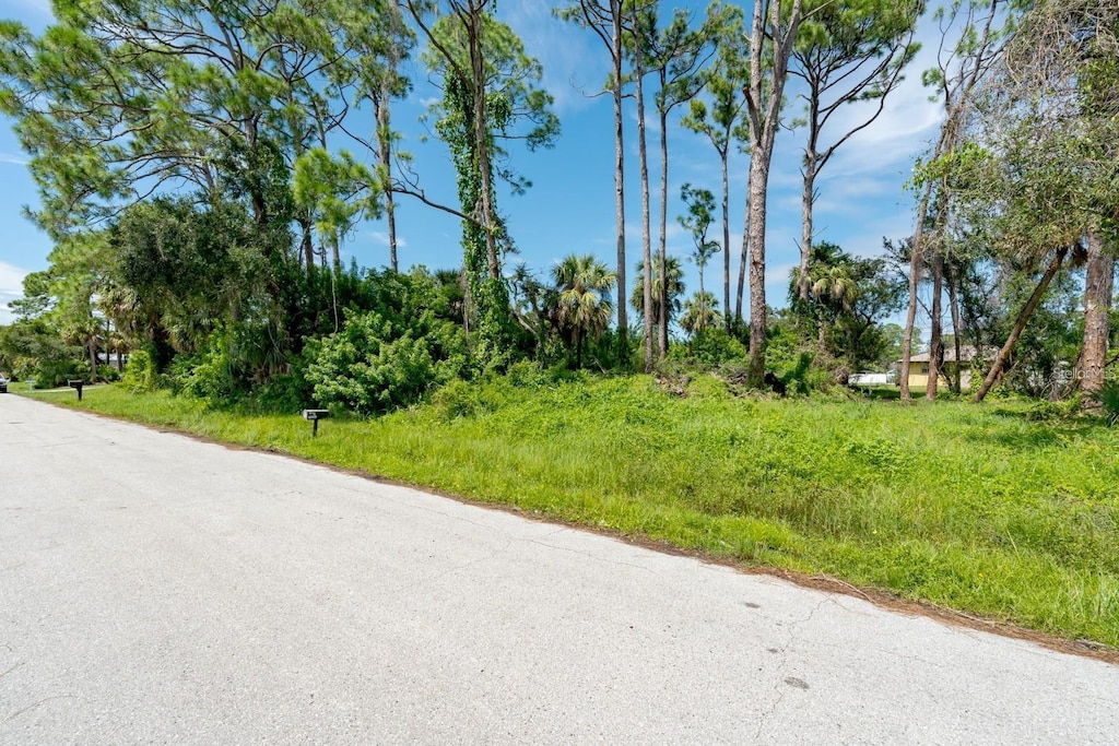 20284 Emerald Ave, Port Charlotte, FL 33952 - photo 1
