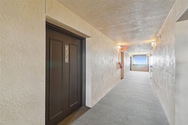 2413 Bayshore Blvd Unit 703, Tampa, FL 33629 - photo 6