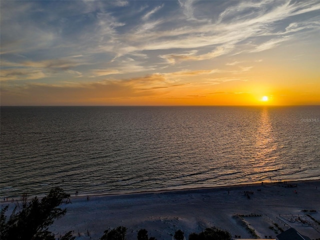 19915 Gulf Blvd Unit 206, Indian Shores, FL 33785 - photo 8