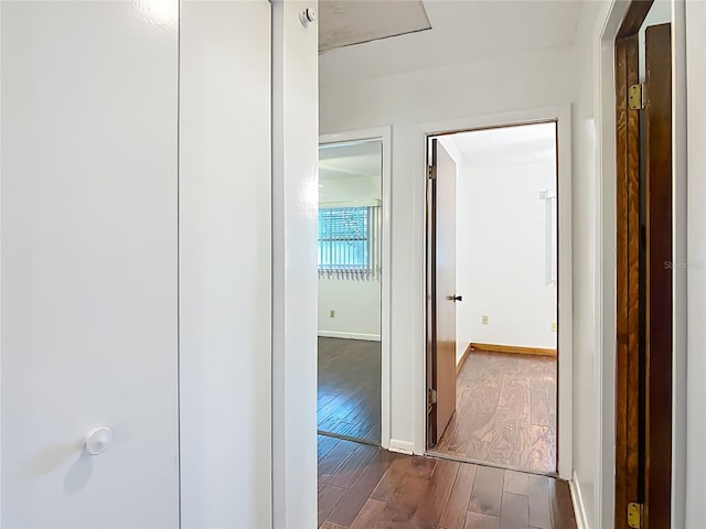 10035 SW 91st Ter, Ocala, FL 34481 - photo 31