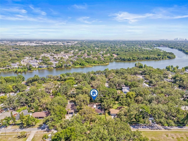 4805 E Regnas Ave, Tampa, FL 33617 - photo 50
