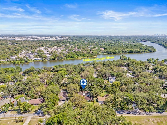 4805 E Regnas Ave, Tampa, FL 33617 - photo 51