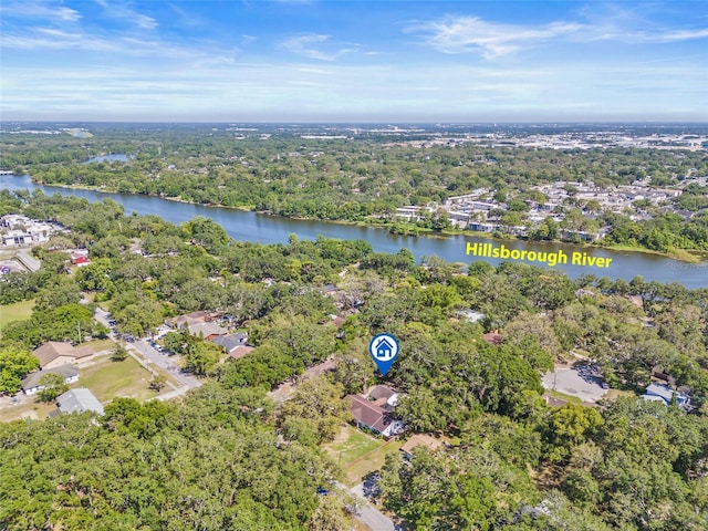 4805 E Regnas Ave, Tampa, FL 33617 - photo 59