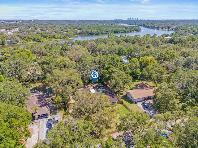 4805 E Regnas Ave, Tampa, FL 33617 - photo 61