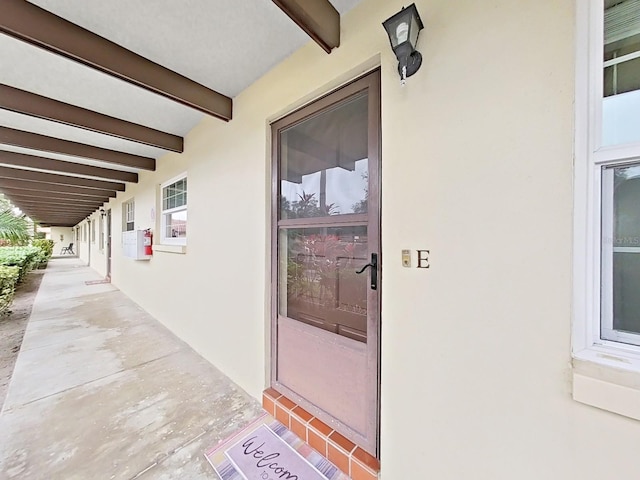 1701 Pinehurst Rd Unit 3E, Dunedin, FL 34698 - photo 1
