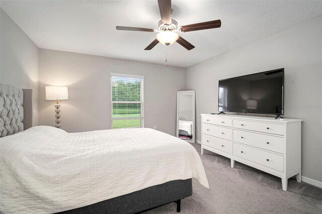 7128 Samuel Ivy Dr, Tampa, FL 33619 - photo 24