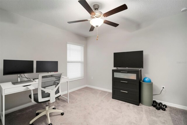 7128 Samuel Ivy Dr, Tampa, FL 33619 - photo 30